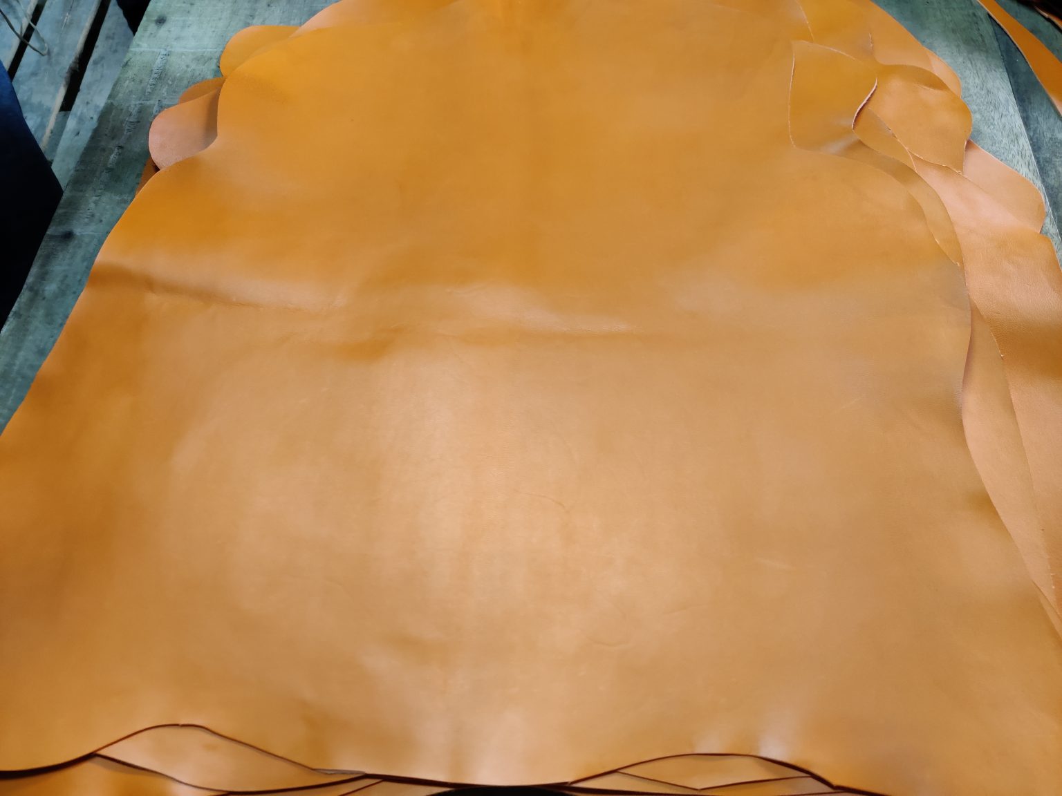 Goat Finished Leather » Nesa & Mia Leather